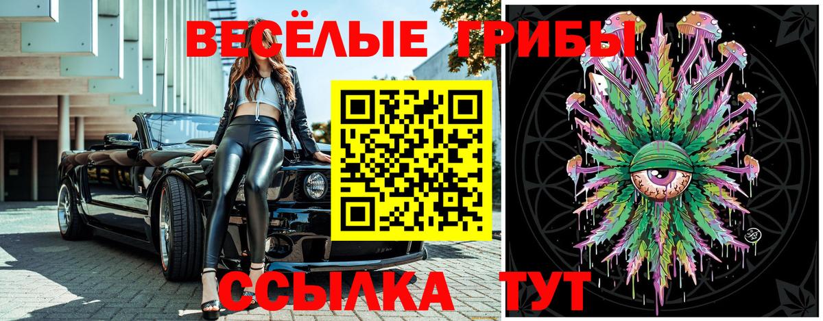 Псилоцибиновые грибы мицелий Новоуральск